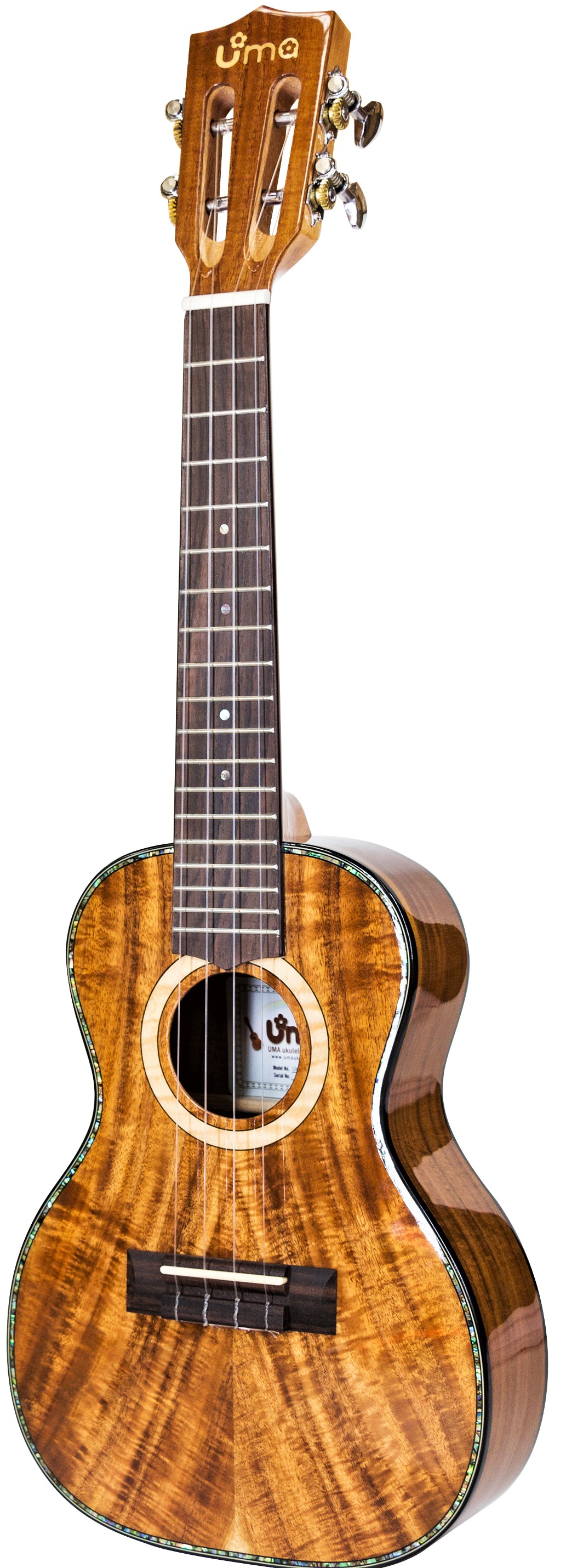 UMA -30-SC -EVO Concert Ukulele - Click Image to Close